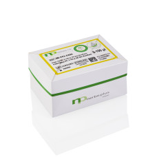 Varfuri de pipeta cu filtru NERBE PLUS premium surface, 0-100µl, 96 pcs/EcoRack, transparent, moulded rings, np premium bio, sterile R, CE/IVD, pachet x 10 EcoRack-uri