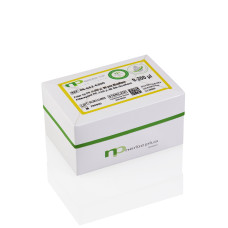 Varfuri de pipeta cu filtru NERBE PLUS premium surface, 0-200µl, 96 pcs/EcoRack, transparent, moulded rings, np premium bio, sterile R, CE/IVD, pachet x 10 EcoRack-uri